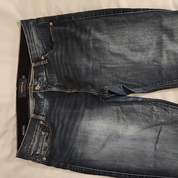 Torrid jeans‎ Bombshell Skinny women's 22R blue stretchy premium - Picture 2 of 9